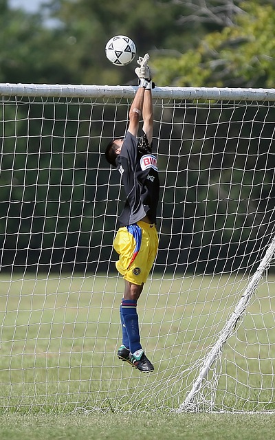 过自己的努 过自己的努