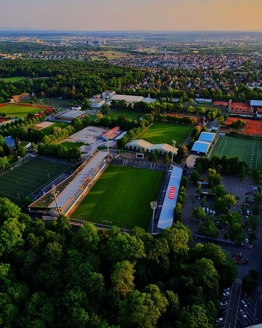 作出了重要 作出了重要