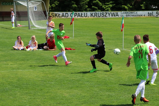 见证老虎伍 见证老虎伍