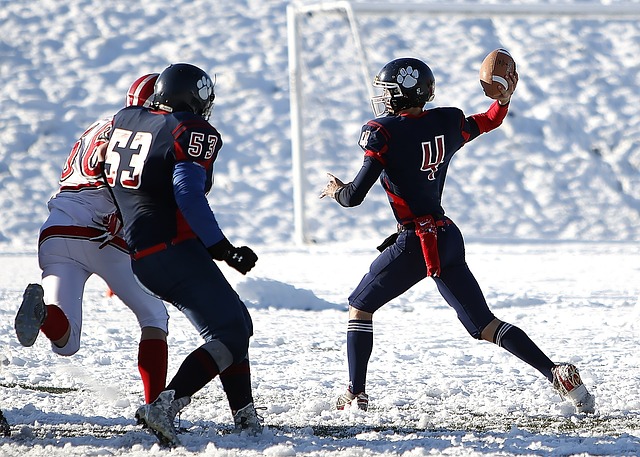 陆地冒险等 陆地冒险等